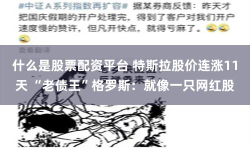 什么是股票配资平台 特斯拉股价连涨11天 “老债王”格罗斯：就像一只网红股