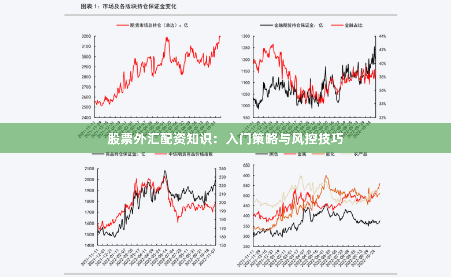 股票外汇配资知识：入门策略与风控技巧
